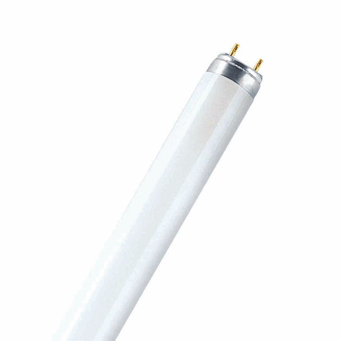 Newlec NLT83684 T8 Tube Fluorescent High Efficiency 36W 4000K 4ft