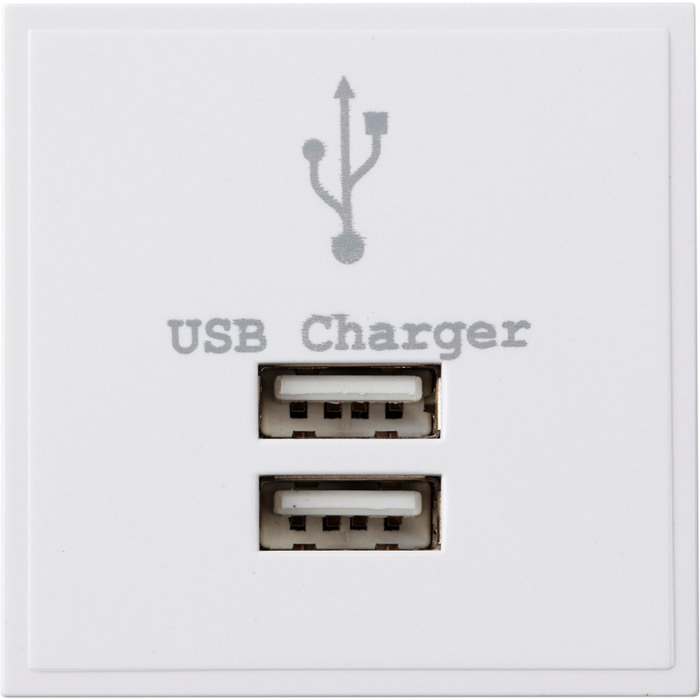 Deta S1445 Module 2 Gang USB Charger 1A White Moulded